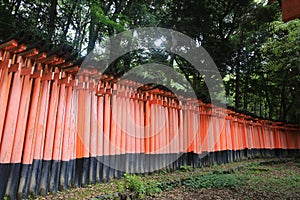 Side view of Senbon Torii Ã¢â¬ÅThousand ToriiÃ¢â¬Â gateways in Fushimi Inari Taisha Temple in Kyoto Japan photo